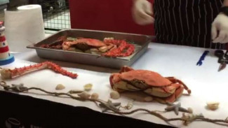 Tips Pilih Kepiting Segar dan Berdaging Tebal