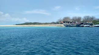 Wisata ke Banyuwangi, Rugi Tak Mampir Snorkeling di Pulau Menjangan