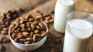Susu Oat vs Susu Almond: Mana yang Lebih Cocok Turunkan Berat Badan
