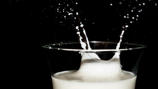 Diet Ekstrem Cuma Minum Susu Selama Sebulan Penuh, Bahaya!