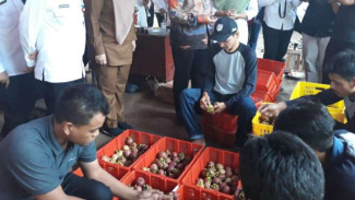 9,5 Ton Manggis Banten Diekspor ke China