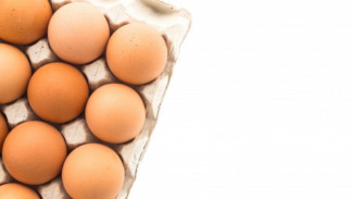 Ketahui Arti Label Telur Ayam Kemasan
