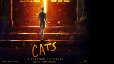 Cats