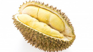 Viral Durian Seharga Rp7 Juta, Netizen: Bisa Buat Beli Laptop