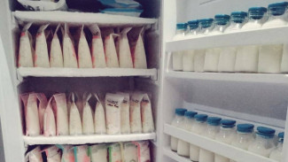 Coolbox Bisa Jadi Solusi Simpan ASIP Beku saat Mati Listrik