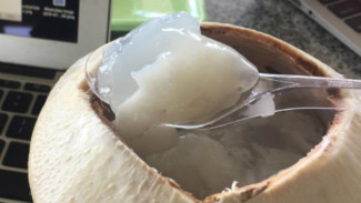 Sensasi Makan Kelapa Jelly Langsung Dari Batoknya