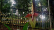 Photo Mini 1