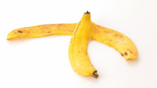 Gosok Kulit Pisang pada Gigi Selama 2 Minggu, Hasilnya Mengejutkan