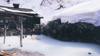 Rekomendasi Tempat Liburan Musim Salju yang Mengesankan di Jepang