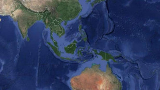 8 Negara yang Paling Benci Indonesia, dari Israel Hingga Vanuatu