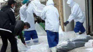 Corona Mengganas di Iran, 113 Orang Meninggal Dalam Sehari