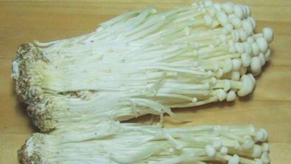Kementan Minta Seluruh Jamur Enoki di RI Dimusnahkan, Ini Alasannya