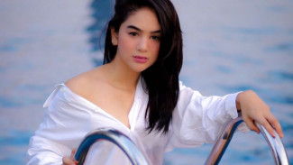 Penggerebekan Hana Hanifah, Video Porno Mirip The Connell Twins