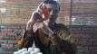 Photo Mini 1