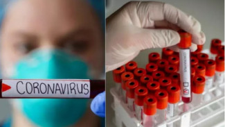 CDC Sebut Orang Tanpa Gejala Tak Perlu Tes COVID-19