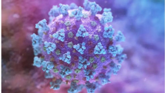 Wow, 12 Negara Ini Masih Bebas dari Virus COVID-19