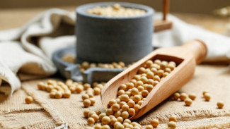 Kegemukan Picu Imunitas Menurun, Yuk Konsumsi Olahan Kacang Kedelai