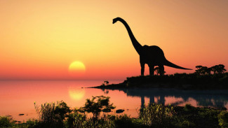 Six Evidences Chickens are the Incarnations of Evolved Dinosaurs