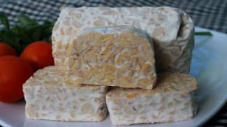 5 Cara Menyimpan Tempe agar Tetap Segar dan Tahan Lama hingga Berbulan-bulan