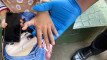 Photo Mini 1