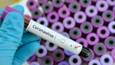 Virus corona