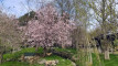 Photo Mini 1