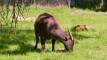 Photo Mini 1