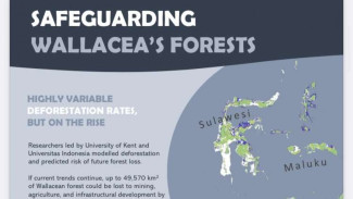 Dipublikasikan di COP26, Penelitian Wallacea Indonesia dan Inggris