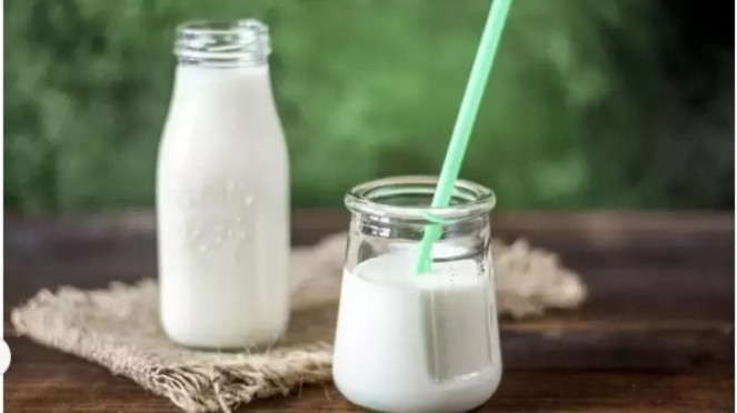 Susu segar