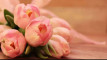 Photo Mini 11