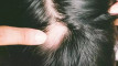 Photo Mini 1