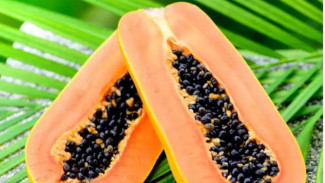 Heboh Aksi Pedagang Buang Puluhan Ton Buah Pepaya, Ternyata Ini Penyebabnya