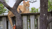 Photo Mini 5