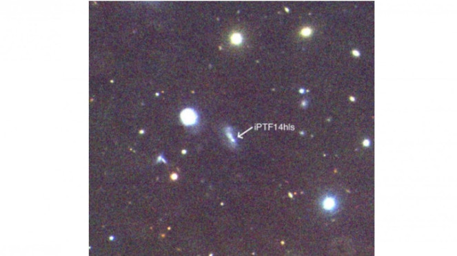 iPTF14hls
