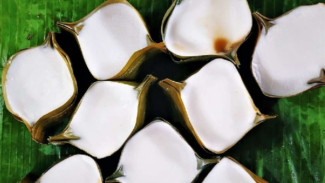 7 Makanan Khas Banten Wajib Dicoba, Ada Nasi Bakar Sumsum Tulang