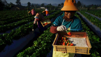 UMKM Marak di Indonesia, Ini Sejarah dan Peluang Besarnya