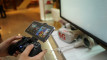 Photo Mini 2