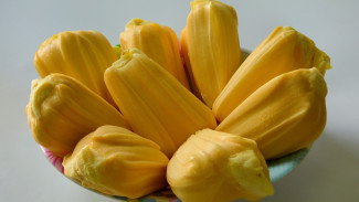 13 Manfaat Kesehatan Buah Nangka, Menyehatkan Tulang Hingga Cegah Kanker