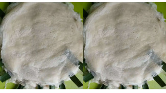 Gak Usah Beli Lagi, Ini Cara Membuat Kulit Lumpia Sendiri di Rumah