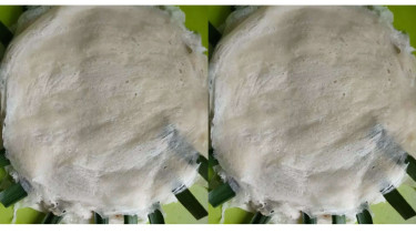 Kulit Lumpia
