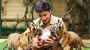 Alshad Ahmad