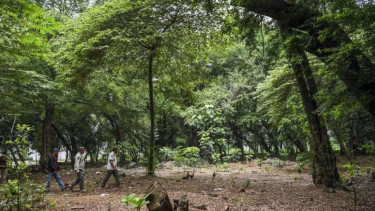 Hutan Kota UKI