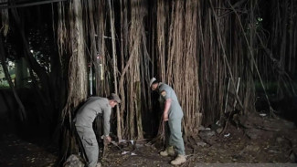 Ternyata Setiap Malam Ratusan LGBT Datang ke Hutan Kota UKI, Sudah Berlangsung 10 Tahun