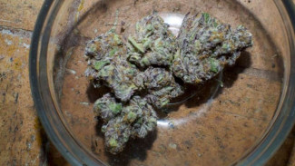 The Drug Called Kush Killing Youth in West Africa
