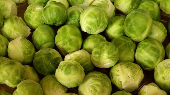 Sayur kol