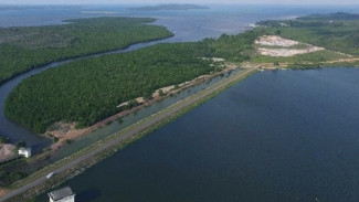 BP Batam Ungkap Untung Rugi Jika Xinyi Glass Holding Gagal Investasi di Pulau Rempang