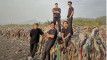 Photo Mini 1