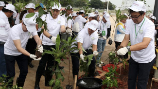 Peringati Hari Menanam Pohon Indonesia, 3000 Bibit dari Jenis Berbeda Ditanam