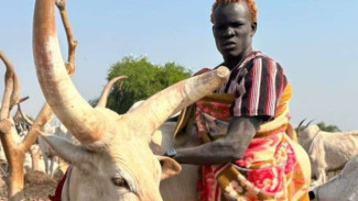 Meet Mundari Tribe: the People that Love to Bath with Cow Urine