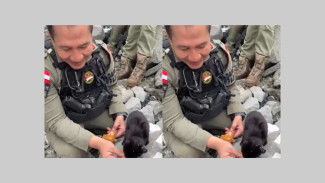 Viral Dansatgaspam Papua Asal Jambi Beri Ayam Goreng ke Kucing